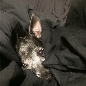 Meet your Posher, Hannah